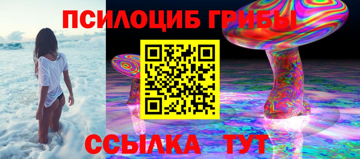 Псилоцибиновые грибы Psilocybine cubensis Батайск