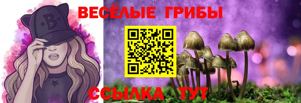Псилоцибиновые грибы Magic Shrooms  Вход с VPN  Батайск 